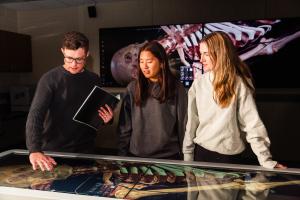 One faculty member and two students are looking at the anatomage table, a three-dimensional human anatomy tool