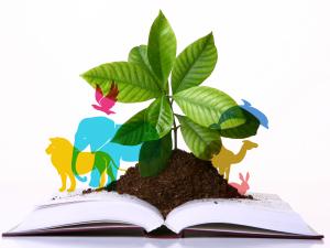 Plant and animals on a book