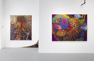 Installation, two paintings, Simone Subal gallery, 2023