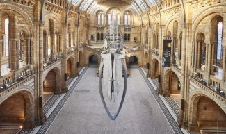 the inside of the Natural History Museum in London
