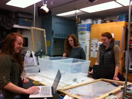 three women at a lab bench with computer and a hamster in a clear box