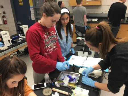 four women work at a lab bench pouring dye over a slide