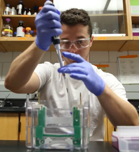 Julian Kellner-Rogers loading a protein gel