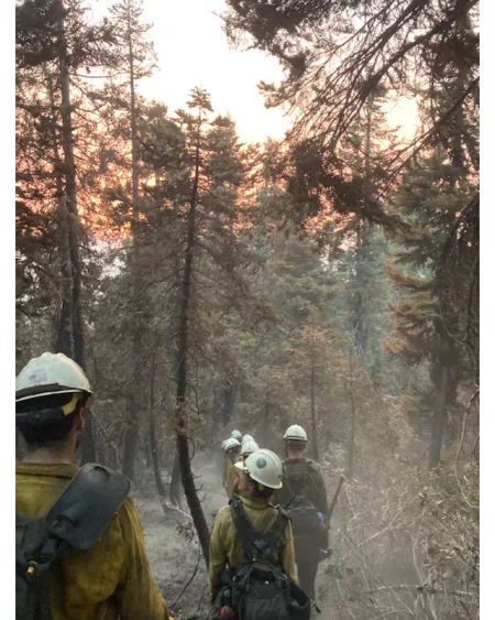 firefighters in the forest