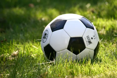 Soccer ball in grass.