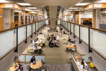 Students studying in the library
