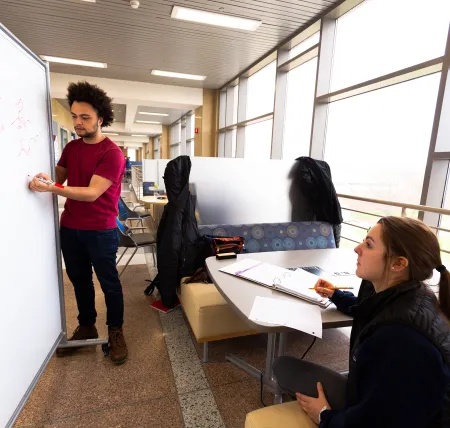Studying organic in the atrium