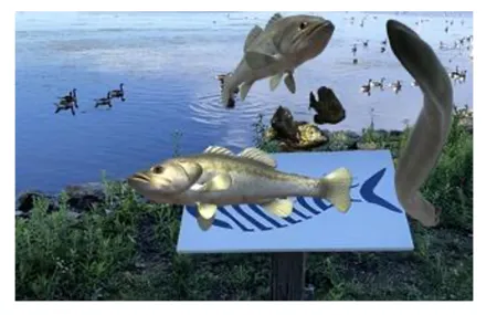  SWIMMING UPSTREAM AR 