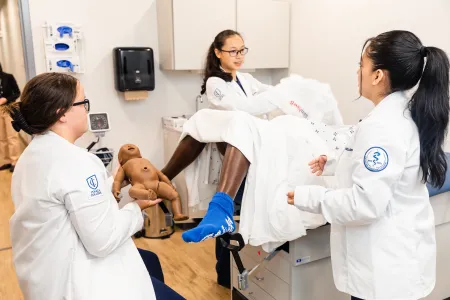 Learners working with Sim Mom and Sim Newbie