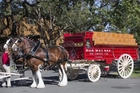 Horses pulling a wagon