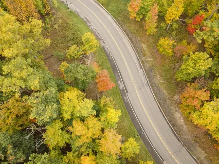 Roadway within Natural Lands