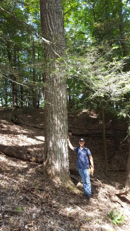 Portrait of Jake Brenner with a Tulip Poplar Tree
