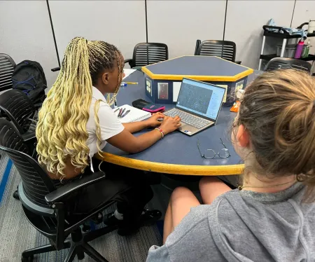 A student uses an electric field simulation developed by students studying physics education research.