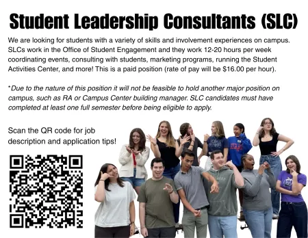 Meme of SLCs acting out working at a desk.