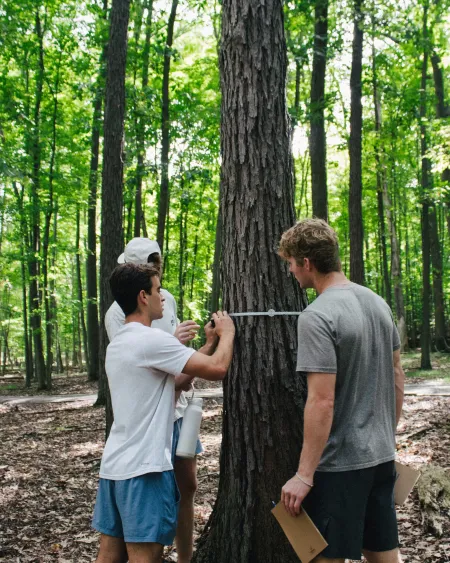 Students in the Natural Lands measure the diameter of a tree.