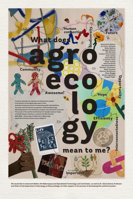 In the fall semester, students created a collage answering "What Does Agroecology Mean To Me?", which will appear in an upcoming issue of Rooted Magazine.
