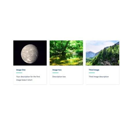 Example of the "Collection: Card Grid" component, populated with "Card: Image" cards