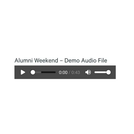 Example image of the "Media: Audio Embed" component / paragraph. 