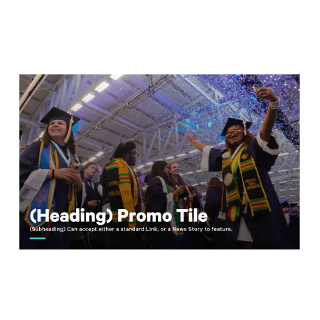 Example of the "Promo Tile" paragraph