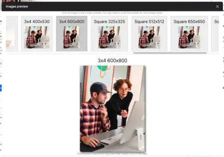 UI of the Preview Window, showing the potential crops of the image.