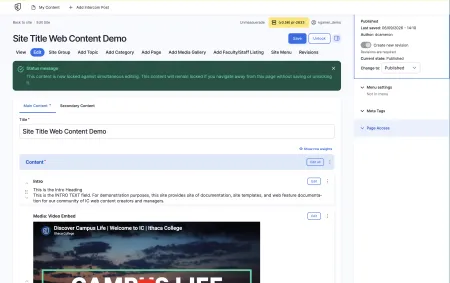 View of the editing view, with the Page Access option highlighted.