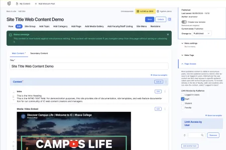 View of the editing view, with the Page Access option expanded and one role toggled to receive access.