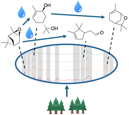 spectra and corresponding organic compounds for hydrolysis reactions in aerosol particles derived from biogenic emissions