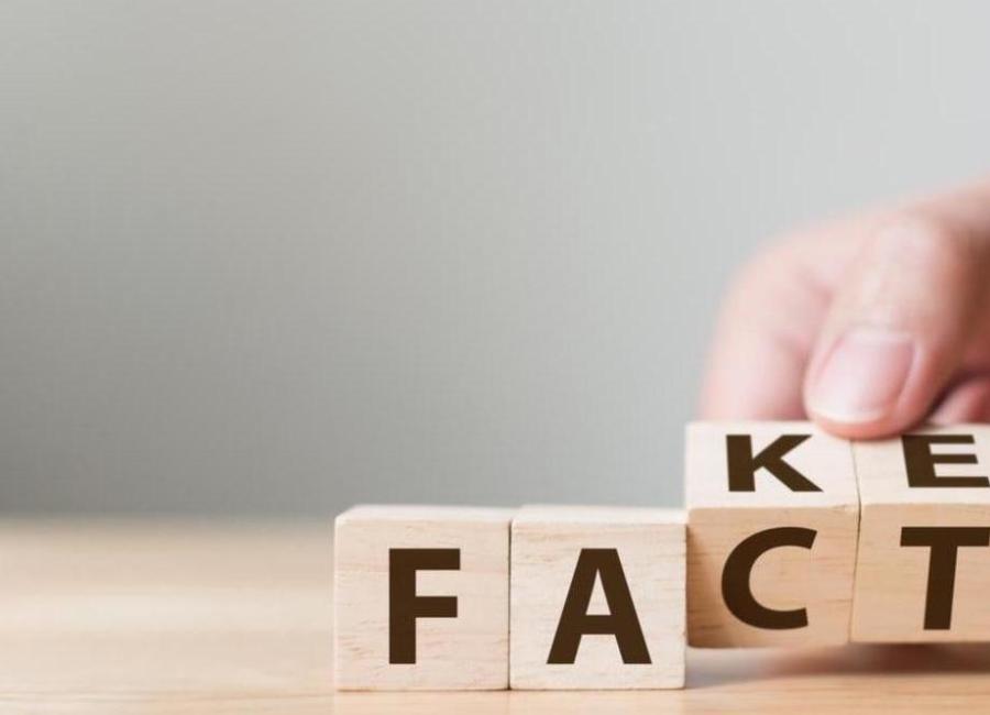 Fake/Fact blocks