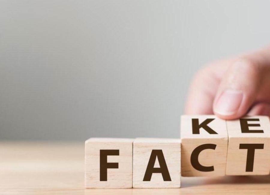 Fake/Fact blocks