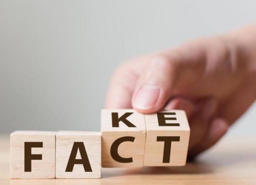 Fake/Fact blocks