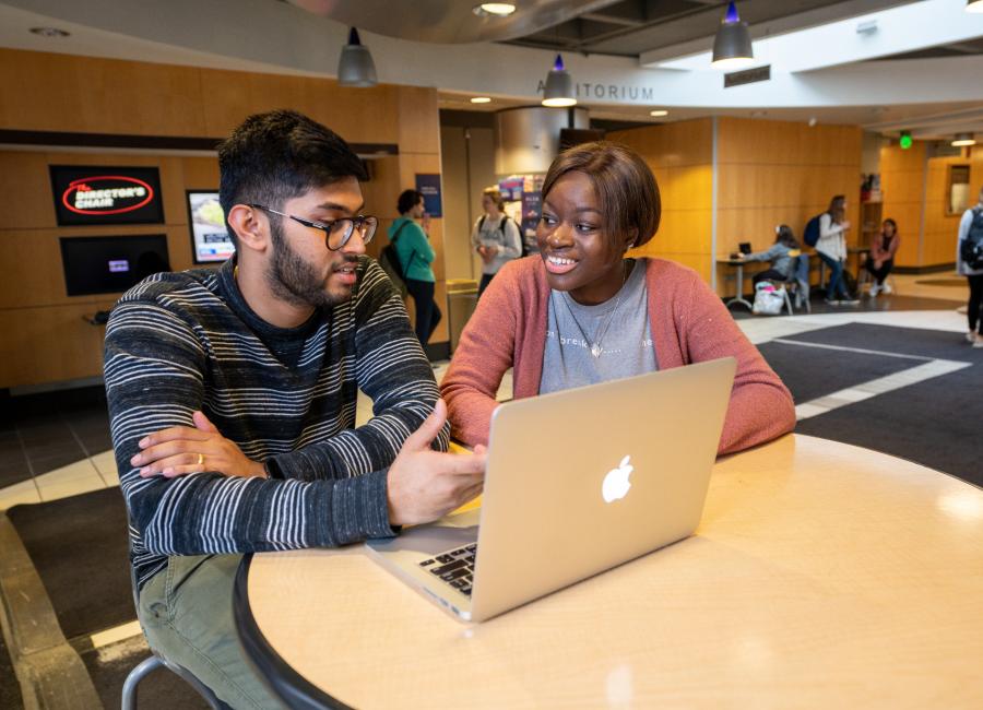 Students studying together 