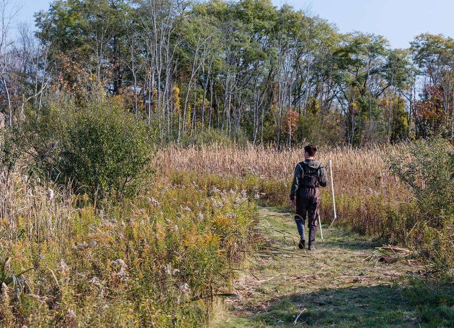 Student Forest Steward in Natural Lands