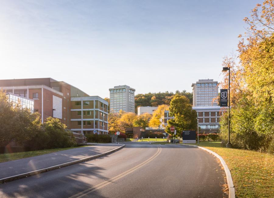 Road in front of the Towers and Williams Hall.
