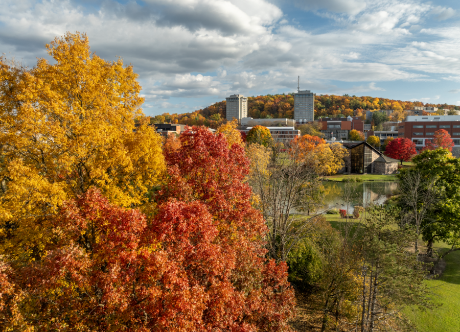 Ithaca College in the fall