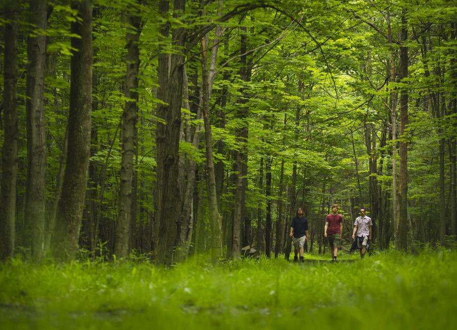 Students walking through the Ithaca College Natural Lands