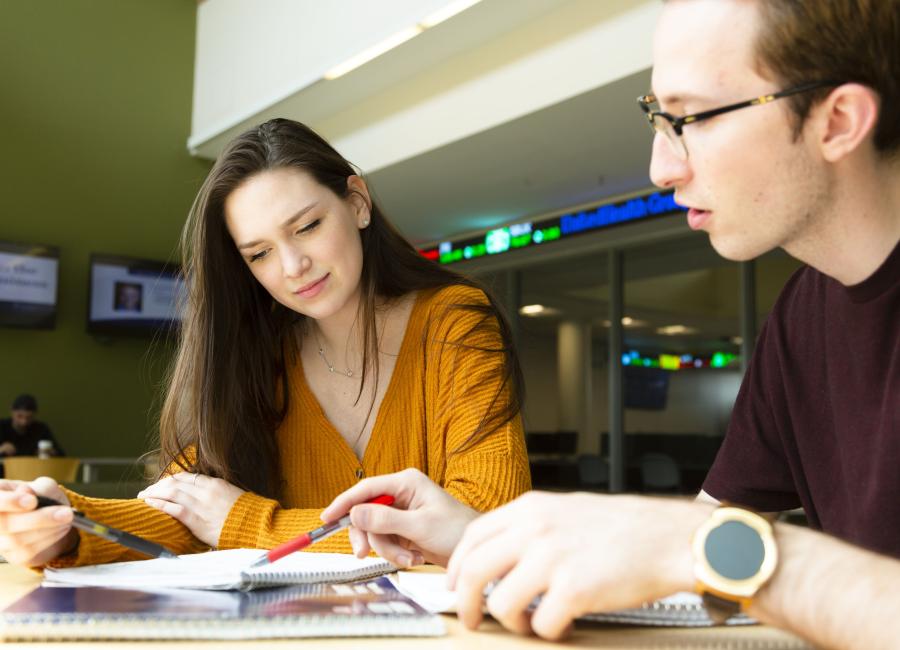 Two students sitting next to each other studying.