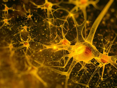 Neurons firing in the brain