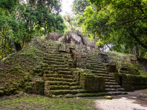 Ruins of a Mayan temple covered in vines