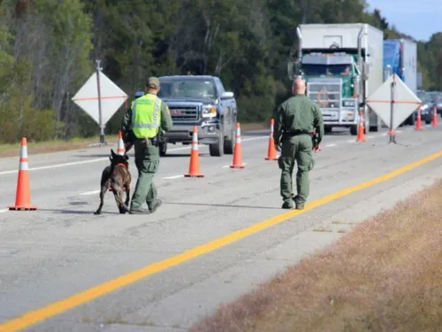 Law enforcement officers at a road checkpoint