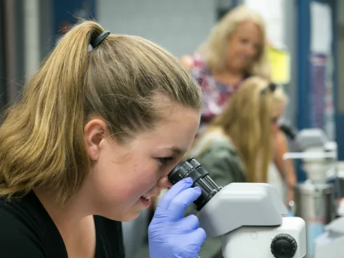 A young woman looking through a microscope