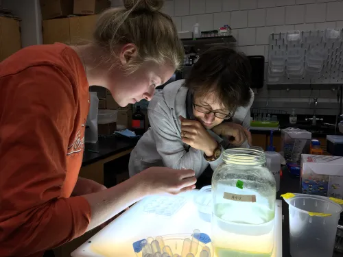student working over a light table while faculty member looks on