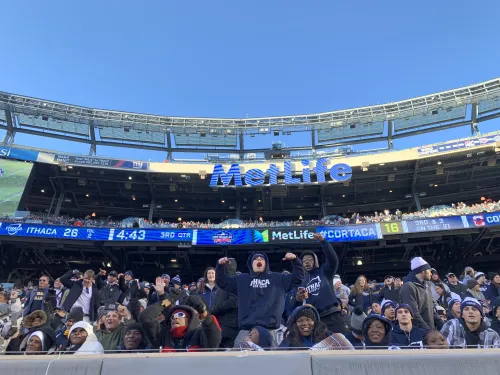 Fans in a stadium cheer