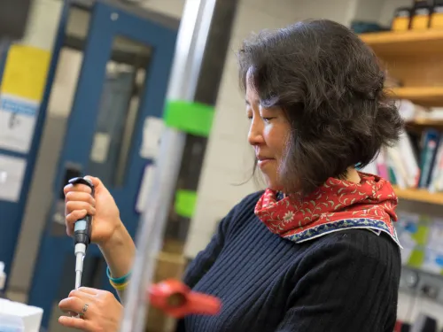 professor working in the lab