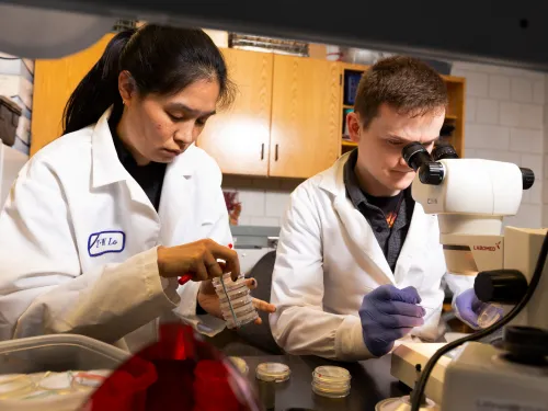 A woman in a labcoat helps a student at a microscope