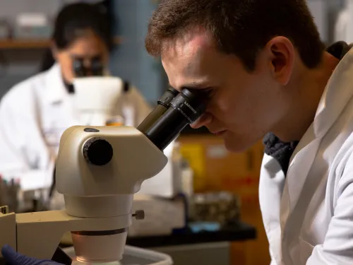 Dallas Fonesca looking through microscope.