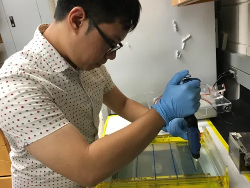 A student pipettes into a gel