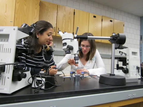 A woman watches a second woman manipulate something under a dissecting microscope