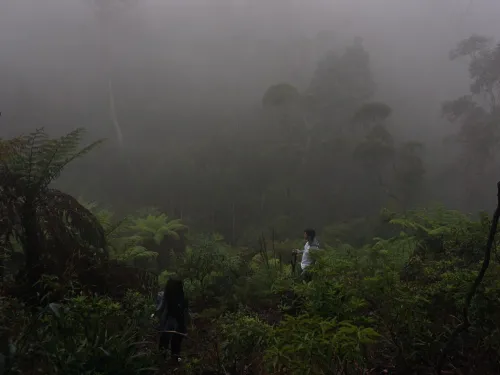 Jordan Brown and Grace George