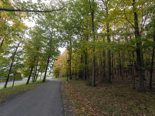 pathway to the IC Natural Lands