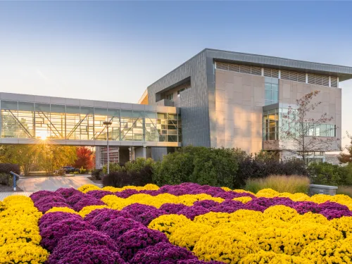 Campus building with flowers